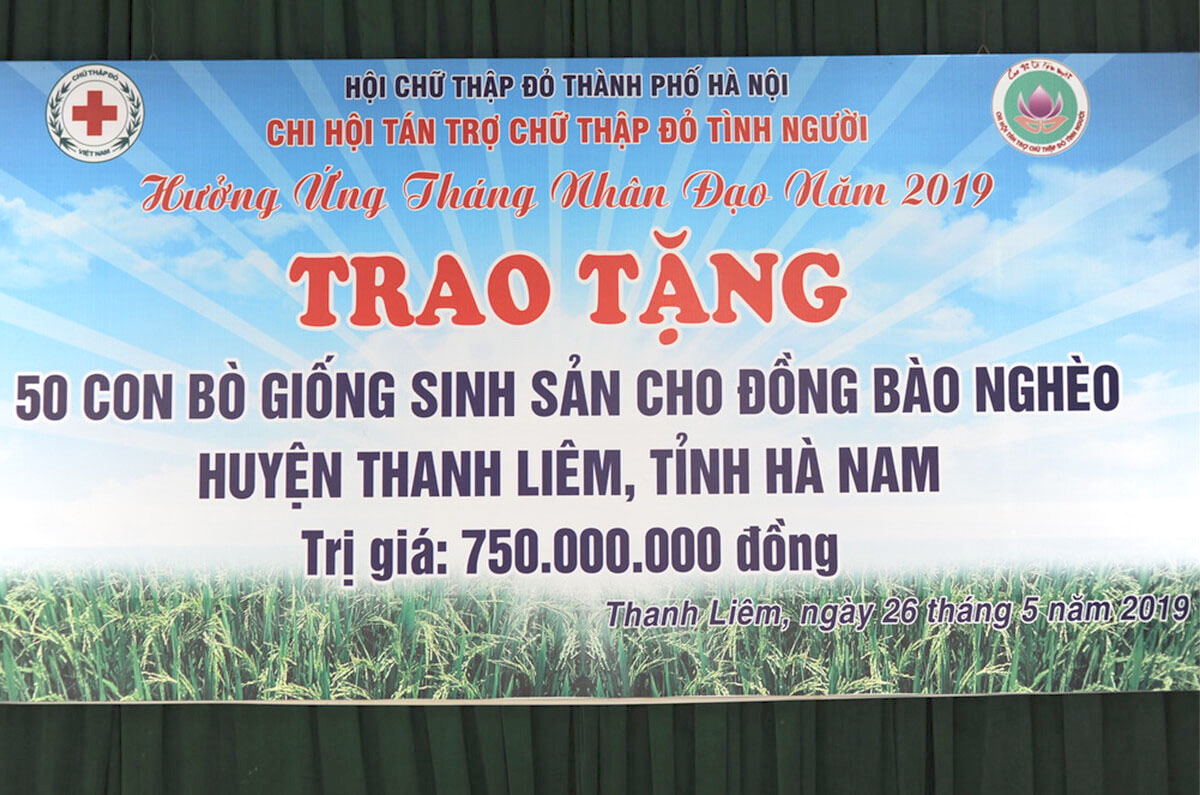 Trao tặng 50 con bò giống sinh sản cho đồng bào nghèo huyện Thanh Liêm, tỉnh Hà Nam