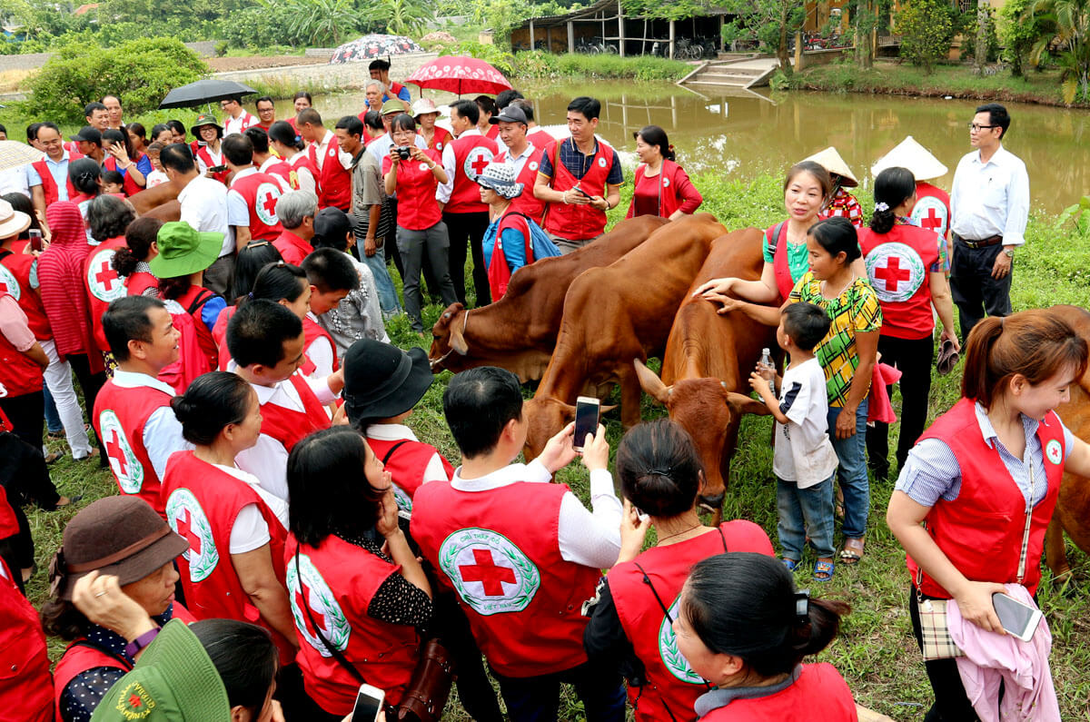 CTĐ Tình Người trao bò năm 2018