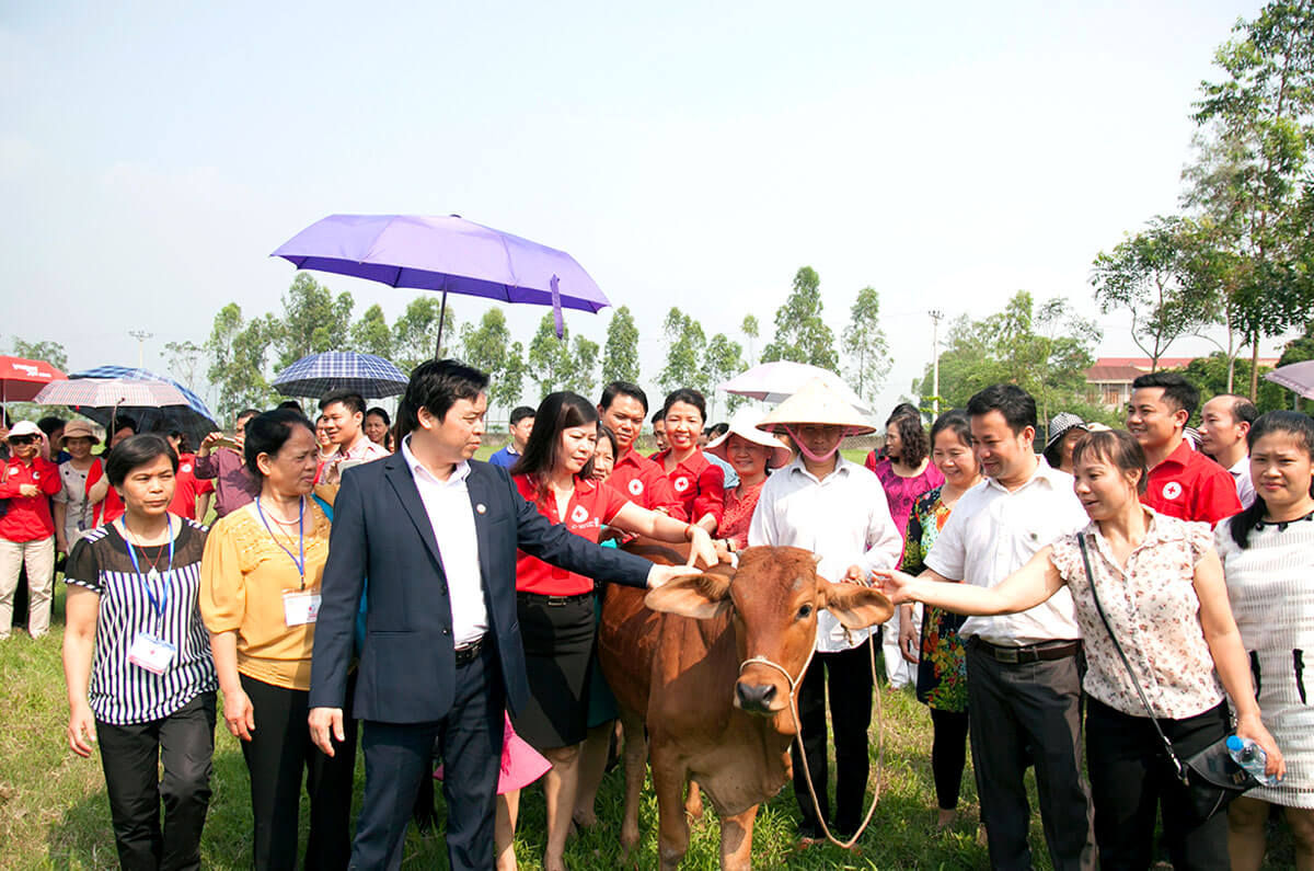 Tặng bò giống và học bổng năm 2016